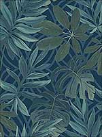 Nocturnum Dark Blue Leaves Wallpaper 290424201 by Brewster Wallpaper for sale at Wallpapers To Go