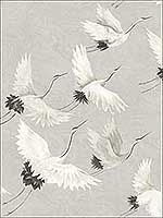Windsong Grey Bird Wallpaper 290424304 by Brewster Wallpaper for sale at Wallpapers To Go