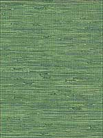 Fiber Green Faux Grasscloth Wallpaper 290424419 by Brewster Wallpaper for sale at Wallpapers To Go