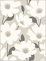 Astera Beige Floral Wallpaper 290425675 by Brewster Wallpaper for sale at Wallpapers To Go