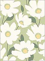 Astera Green Floral Wallpaper 290425677 by Brewster Wallpaper for sale at Wallpapers To Go