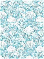Surfside Aqua Shells Wallpaper 290425688 by Brewster Wallpaper for sale at Wallpapers To Go
