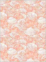 Surfside Coral Shells Wallpaper 290425689 by Brewster Wallpaper for sale at Wallpapers To Go