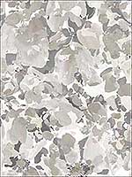 Bloom Grey Wallpaper FW36824 by Patton Norwall Wallpaper for sale at Wallpapers To Go