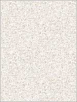Tweed Texture Brown Beige Wallpaper FW36838 by Patton Norwall Wallpaper for sale at Wallpapers To Go