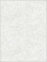 Watermark Taupe Stone Grey Wallpaper FW36846 by Patton Norwall Wallpaper for sale at Wallpapers To Go