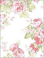 Grand Floral Pink Green Wallpaper AB27612 by Patton Norwall Wallpaper for sale at Wallpapers To Go