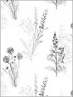 Flora Grey Black Wallpaper AB42443 by Patton Norwall Wallpaper for sale at Wallpapers To Go