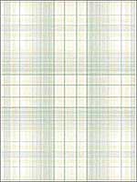 Check Plaid Green Wallpaper AF37717 by Patton Norwall Wallpaper for sale at Wallpapers To Go