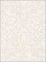 Ornamental Beige Vanilla Wallpaper AF37731 by Patton Norwall Wallpaper for sale at Wallpapers To Go