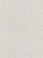 Mica Effect Soft Grey Wallpaper WF20503 by Casa Mia Wallpaper for sale at Wallpapers To Go