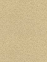Mica Effect Gold Wallpaper WF20505 by Casa Mia Wallpaper for sale at Wallpapers To Go