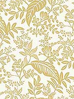 Canopy Gold White Wallpaper RI5138 by Rifle Paper Co Wallpaper for sale at Wallpapers To Go