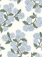 Hydrangea Blue White Wallpaper RI5143 by Rifle Paper Co Wallpaper for sale at Wallpapers To Go