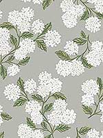 Hydrangea Gray Wallpaper RI5144 by Rifle Paper Co Wallpaper for sale at Wallpapers To Go