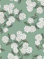 Hydrangea Jade Wallpaper RI5145 by Rifle Paper Co Wallpaper for sale at Wallpapers To Go