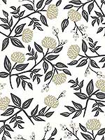 Peonies White Black Wallpaper RI5150 by Rifle Paper Co Wallpaper for sale at Wallpapers To Go
