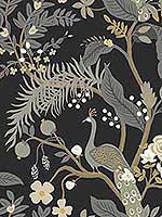Peacock Black Wallpaper RI5170 by Rifle Paper Co Wallpaper for sale at Wallpapers To Go