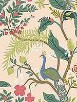 Peacock Light Pink Wallpaper RI5169 by Rifle Paper Co Wallpaper for sale at Wallpapers To Go