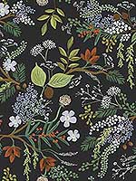 Juniper Forest Black Peel and Stick Wallpaper PSW1198RL by Rifle Paper Co Wallpaper for sale at Wallpapers To Go