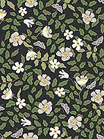 Primrose Off White Black Peel and Stick Wallpaper PSW1315RL by Rifle Paper Co Wallpaper for sale at Wallpapers To Go