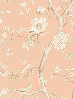 Southport Floral Trail Soft Melon Arrowroot Wallpaper LN11111 by Seabrook Wallpaper for sale at Wallpapers To Go