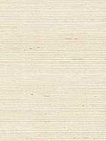 Sisal Grasscloth Ivory Wallpaper LN11810 by Seabrook Wallpaper for sale at Wallpapers To Go