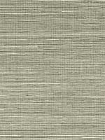 Sisal Grasscloth Green Mist Wallpaper LN11844 by Seabrook Wallpaper for sale at Wallpapers To Go