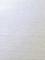 Sisal Grasscloth Metallic Silver Ivory Wallpaper LN11855 by Seabrook Wallpaper for sale at Wallpapers To Go