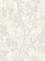 Leaf Trail Off White Wallpaper 2231100 by Seabrook Wallpaper for sale at Wallpapers To Go