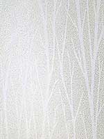 Birch Trail Off White Wallpaper 2232100 by Seabrook Wallpaper for sale at Wallpapers To Go