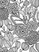 Alannah Black Botanical Wallpaper 290325853 by A Street Prints Wallpaper for sale at Wallpapers To Go