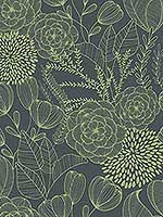 Alannah Green Botanical Wallpaper 290325855 by A Street Prints Wallpaper for sale at Wallpapers To Go