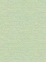 Agave Green Imitation Grasscloth Look Wallpaper 296924284 by A Street Prints Wallpaper for sale at Wallpapers To Go