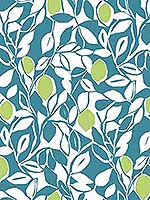 Loretto Teal Citrus Wallpaper 296926026 by A Street Prints Wallpaper for sale at Wallpapers To Go