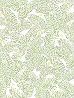 Athina Sage Fern Wallpaper 296926033 by A Street Prints Wallpaper for sale at Wallpapers To Go