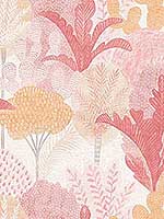 Ari Pink Desert Oasis Wallpaper 296926046 by A Street Prints Wallpaper for sale at Wallpapers To Go