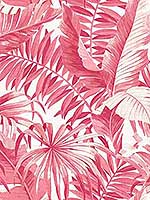 Alfresco Pink Tropical Palm Wallpaper 296926054 by A Street Prints Wallpaper for sale at Wallpapers To Go