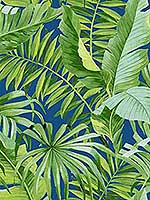 Alfresco Jade Tropical Palm Wallpaper 296926056 by A Street Prints Wallpaper for sale at Wallpapers To Go