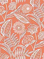 Alma Coral Tropical Floral Wallpaper 296987528 by A Street Prints Wallpaper for sale at Wallpapers To Go