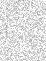 Del Mar Grey Botanical Wallpaper 296425925 by A Street Prints Wallpaper for sale at Wallpapers To Go