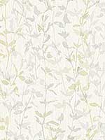 Thea Light Grey Floral Trail Wallpaper 296425933 by A Street Prints Wallpaper for sale at Wallpapers To Go