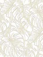 Balboa Gold Botanical Wallpaper 296487341 by A Street Prints Wallpaper for sale at Wallpapers To Go
