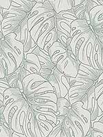 Balboa Olive Botanical Wallpaper 296487343 by A Street Prints Wallpaper for sale at Wallpapers To Go