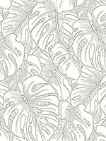 Balboa Silver Botanical Wallpaper 296487344 by A Street Prints Wallpaper for sale at Wallpapers To Go
