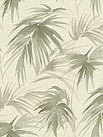 Darlana Sage Grasscloth Wallpaper 296487412 by A Street Prints Wallpaper for sale at Wallpapers To Go