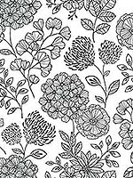 Ada Black Floral Wallpaper 297526203 by A Street Prints Wallpaper for sale at Wallpapers To Go