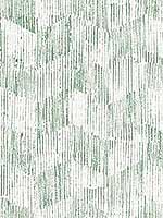 Demi Green Distressed Wallpaper 297526214 by A Street Prints Wallpaper for sale at Wallpapers To Go
