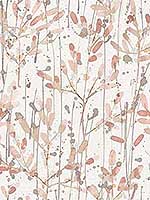 Leandra Coral Floral Trail Wallpaper 297526239 by A Street Prints Wallpaper for sale at Wallpapers To Go