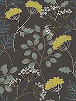 Sorrel Black Botanicals Wallpaper 297587544 by A Street Prints Wallpaper for sale at Wallpapers To Go